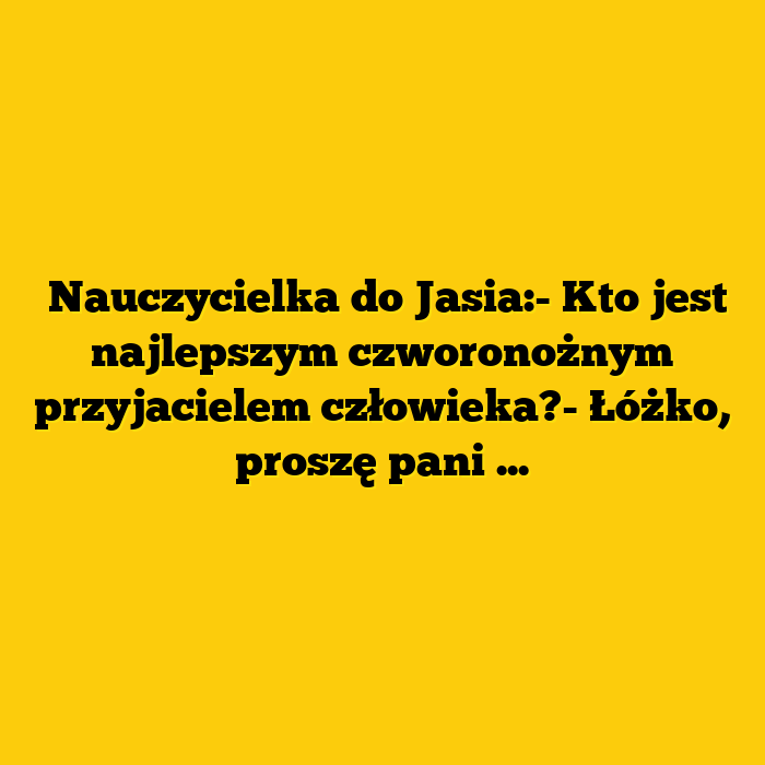 Czworonożny przyjaciel