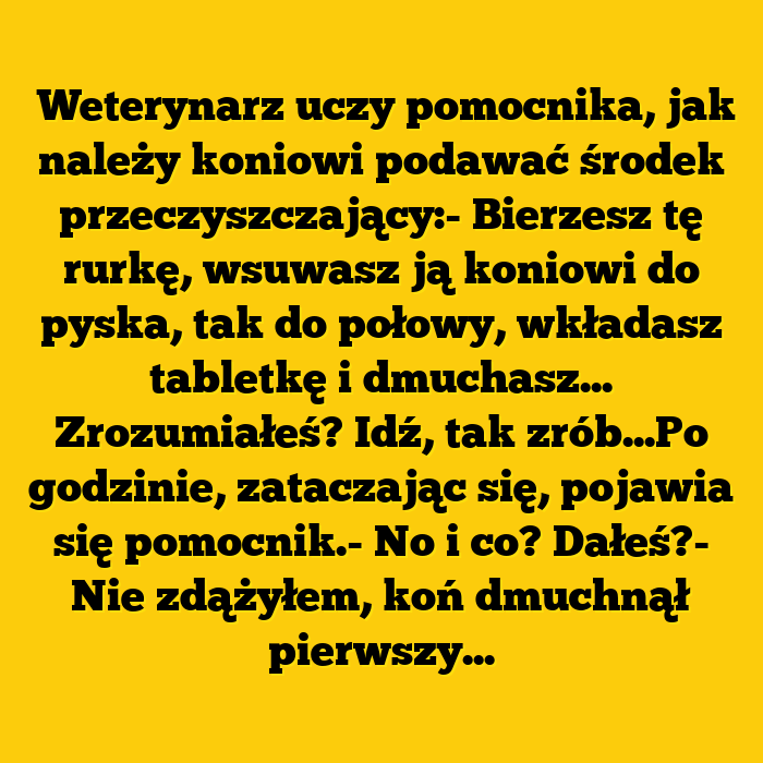 Koń pierwszy