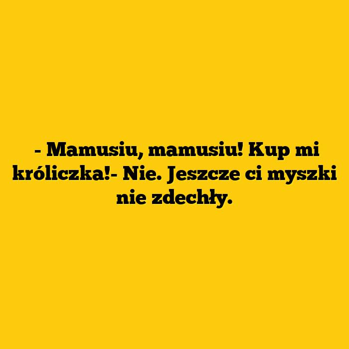 Kup mi króliczka