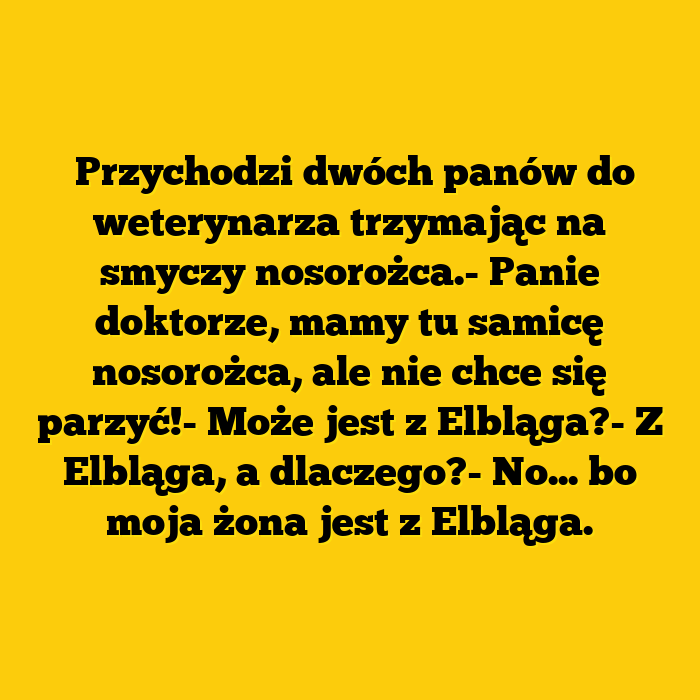 Oziębła